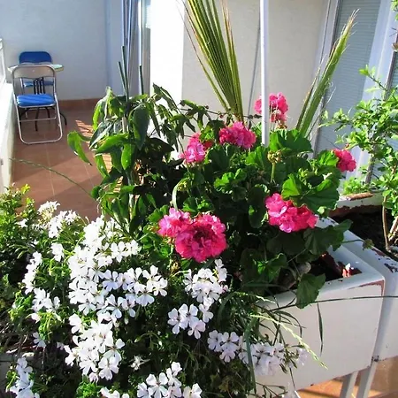 Apartament Urban Jadre