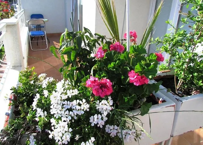 Apartament Urban Jadre